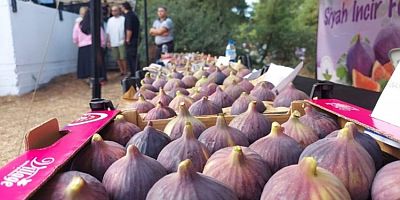 BURSANIN SİYAHINA YOĞUN İLGİ